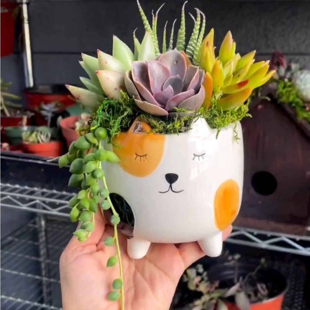 Ceramic Cat Planter - Picture 2 of 6